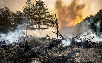 Оценка ущерба после стихийного бедствия в Орле: отчет оценщика